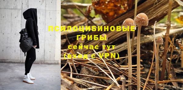 стаф Иннополис