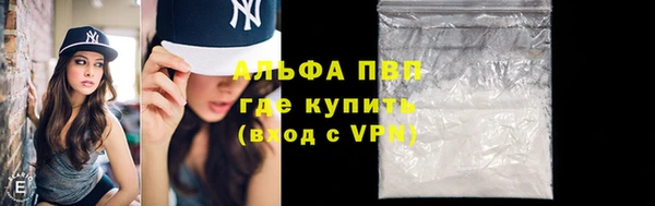 стаф Иннополис