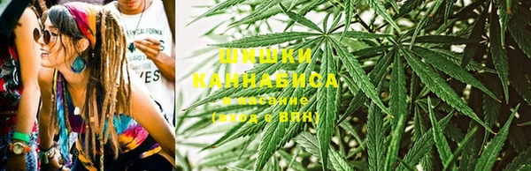 гидропоника Инта