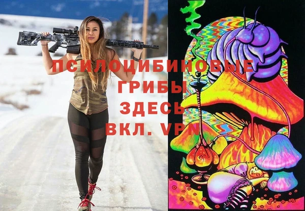 стаф Иннополис