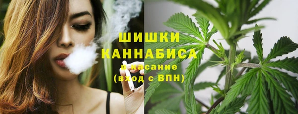 стаф Иннополис