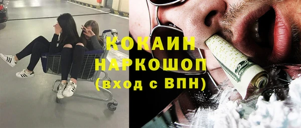 гидропоника Инта