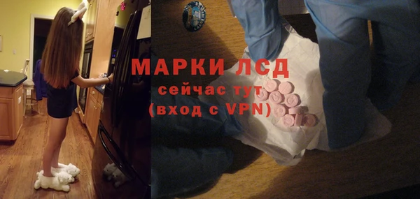 гидропоника Инта