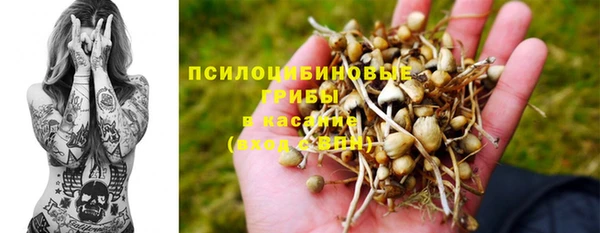 стаф Иннополис