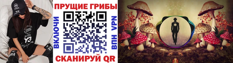 Купить закладки  Шебекино  Псилоцибиновые грибы MAGIC MUSHROOMS 